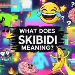 What Does Skibidi Meaning