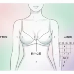 what does the letter mean in bra size