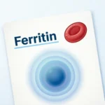 what does ferritin mean in a blood test