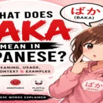 Anime-inspired illustration explaining the meaning of baka in Japanese with Japanese text and playful character expressions.