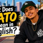 what does vato mean in english